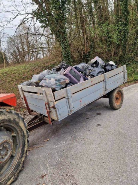 klenovnik-zelena cistka 2.jpeg