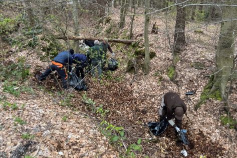 klenovnik-zelena cistka 21.jpeg