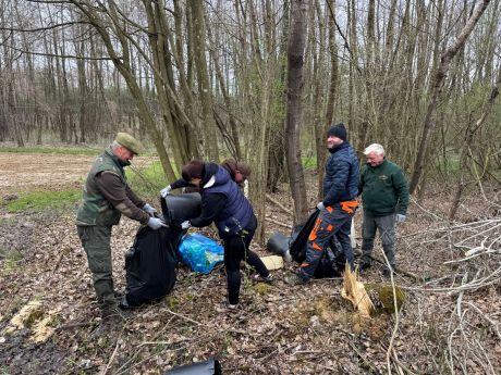 klenovnik-zelena cistka 22.jpeg