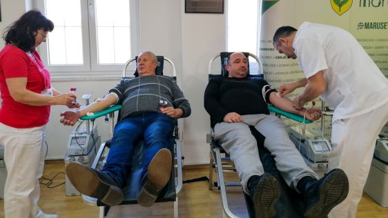 batch_310326-ddk-marusevec-26 Large.jpg