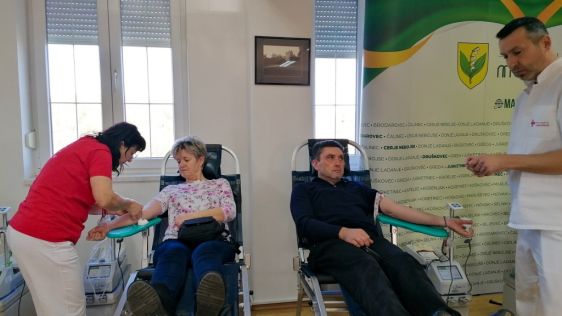 batch_310326-ddk-marusevec-29 Large.jpg