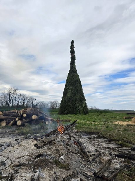 Vinica 01 20260405.jpg