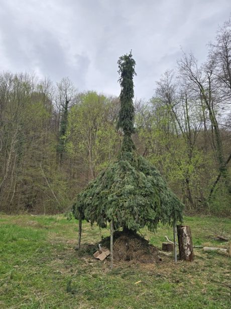 Vinica 03 20260405.jpg