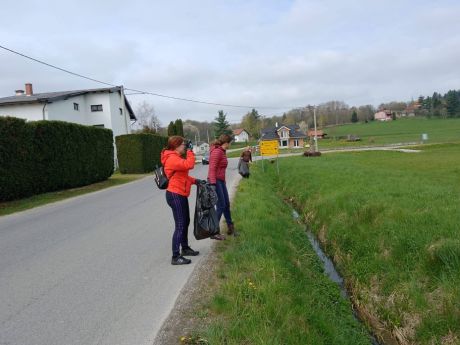 Donja Voca zelena cistka 07 20260417.jpg