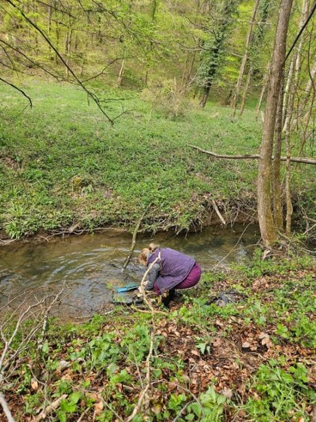 Donja Voca zelena cistka 09 20260417.jpg