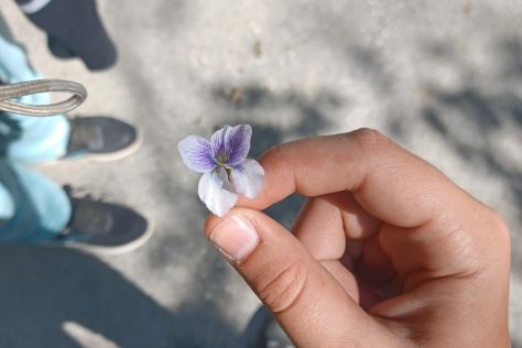 toplika planinarska etnica 7.jpg