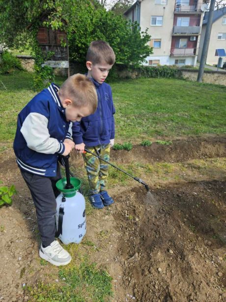 Dani Tratinice 10.jpg