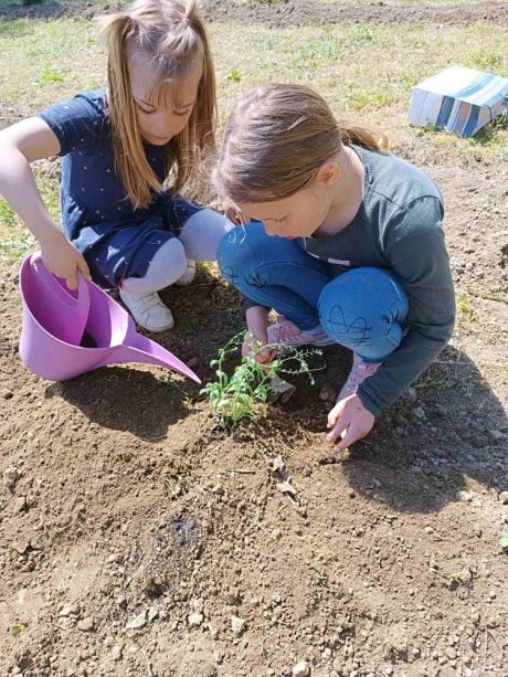 Dani Tratinice 7.jpg