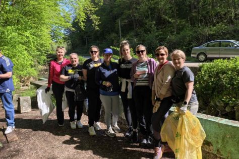 Novi Marof Zelena istka 11.jpg