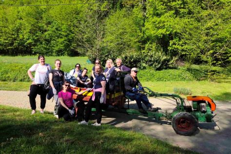 Novi Marof Zelena istka 23.jpg