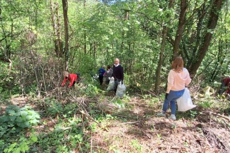 Novi Marof Zelena istka 3.jpg