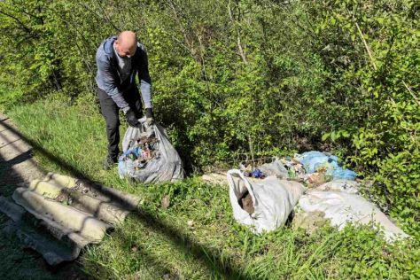 Novi Marof Zelena istka 9.jpg