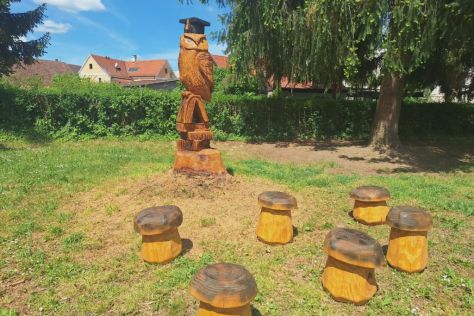 Pametna sova 32.jpeg