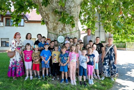 batch_naj-stablo-14-_6a269f58e28b8.jpg