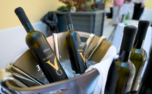 batch_Decanter 12.jpg