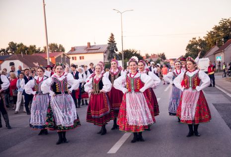 cofa mala subotica 10 20260716.jpg