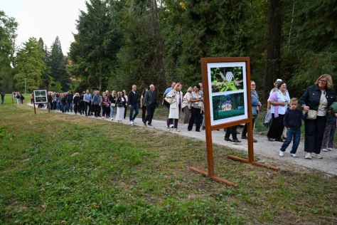 batch_Izlozba_arboretum 30.jpg