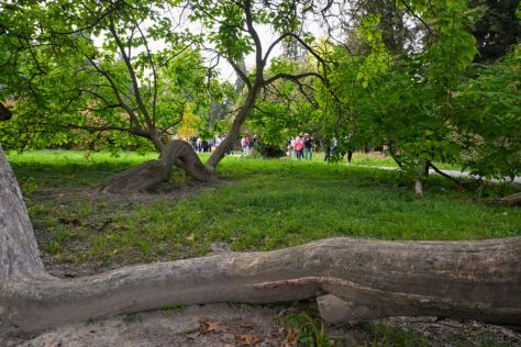 batch_Izlozba_arboretum 32.jpg