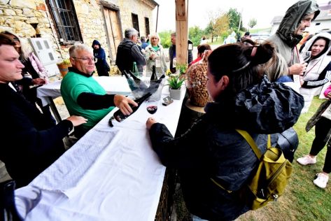 batch_Wine  Walk Cestica10.jpg