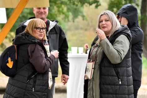 batch_Wine  Walk Cestica2.jpg