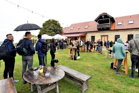 batch_Wine  Walk Cestica31.jpg