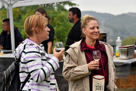 batch_Wine  Walk Cestica41.jpg
