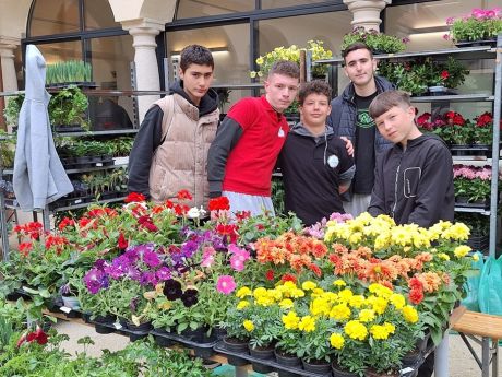 Agrofest 1 20250514.jpg