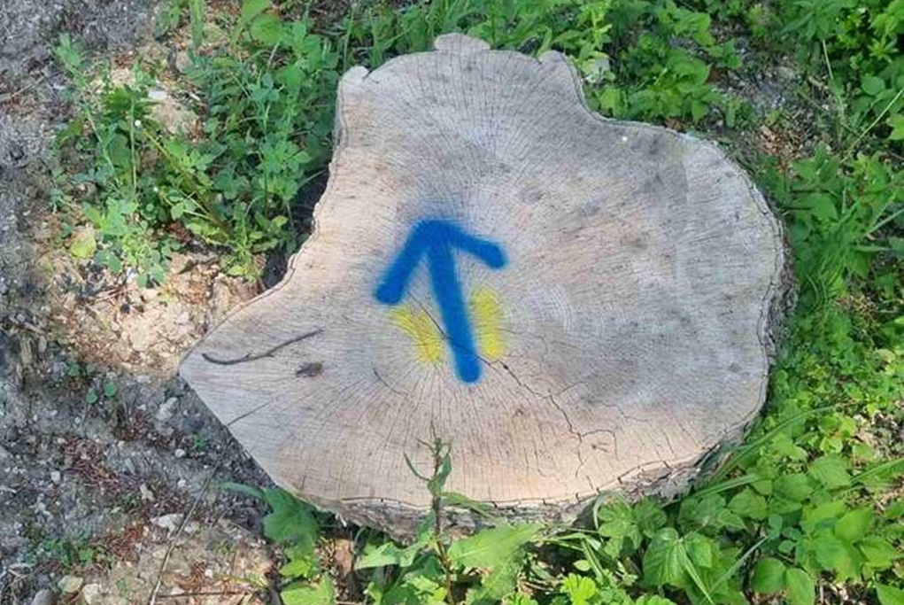 camino toplice 2 20250930